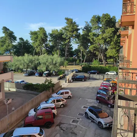 Coccinella Montesilvano Marina